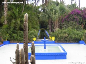 marrakech-jardi-font-cactus